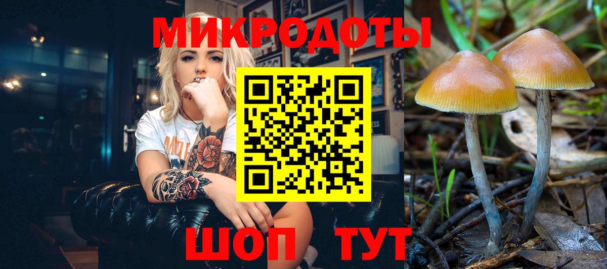 Галлюциногенные грибы GOLDEN TEACHER  Псилоцибиновые грибы MAGIC MUSHROOMS  Тихвин  Вход с VPN 